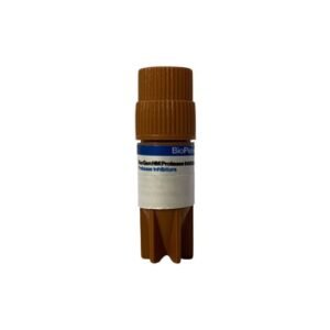 NexGen HM Protease Inhibitor 2ML