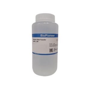 Western Blot Transfer Buffer, 10X