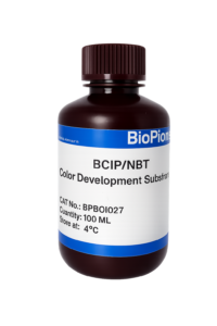 BCIP / NBT Color Development Substrate-100 ml