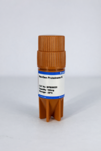 NexGen Proteinase K, 100 mg