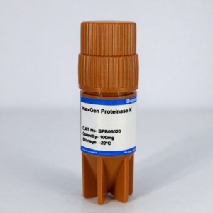 NexGen Proteinase K, 100 mg