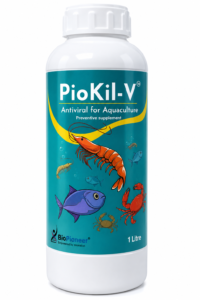 PioKil-V for Aquaculture