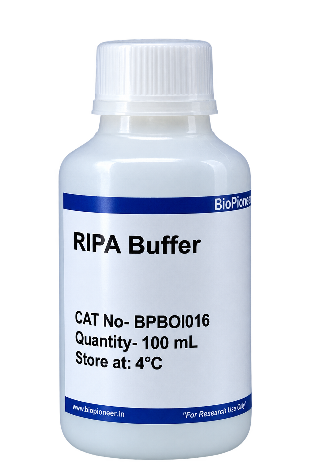RIPA Lysis Buffer